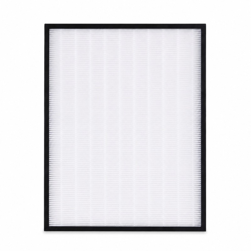 Satz mit 2 Filtern SHARP FZ-F30HFE + FZ-F30DFE für Sharp KC-F32EU-W FP-F30EUH FP-J30EU FA44